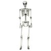 5.4 Ft Life-Size Poseable Halloween Skeleton – Realistic Full-Body Hanging Decoration