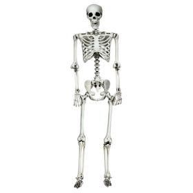 5.4 Ft Life-Size Poseable Halloween Skeleton – Realistic Full-Body Hanging Decoration