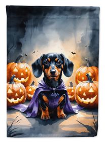 Dachshund Puppy Halloween Garden Flag Mailbox Decorative Yard Banner Outside Patio Artwork for Flower Beds, Garden Size, Multicolor