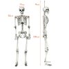 5.4 Ft Life-Size Poseable Halloween Skeleton – Realistic Full-Body Hanging Decoration