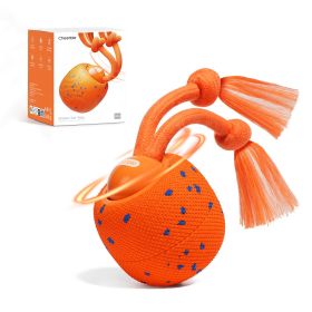 Cheerble Wicked Ball Rolly Interactive Dog Toy with Rope