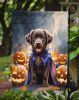 Chocolate Labrador Retriever Puppy Halloween Garden Flag Mailbox Decorative Yard Banner Outside Patio Artwork for Flower Beds, Garden Size, Multicolor