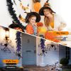 9 Ft Pre-Lit Halloween Garland with 50 Purple LED Lights | Black Halloween Garland