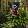 Chocolate Poodle Puppy Halloween Garden Flag Mailbox Decorative Yard Banner Outside Patio Artwork for Flower Beds, Garden Size, Multicolor