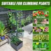 2-Pack 44.8" Self-Watering Tomato Planter with Trellis â€“ Heavy-Duty Indoor & Outdoor Raised Garden Box, Built-in Trapezoid Climbing Grid for Tomatoe