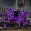 Light-Up Giant Halloween Spider with Web – Indoor & Outdoor Spooky Decoration