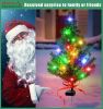 Solar Garden Stake Lights | Christmas Trees, Roses, Lilies & Sunflowers