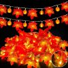 Pre-Lit Pumpkin & Maple Leaf Fall Garland – LED Thanksgiving String Lights (3-Pack)